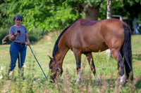 The Al Shira'aa Hickstead Derby Meeting