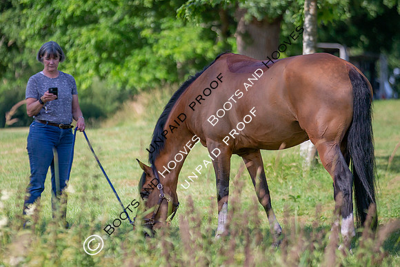 The Al Shira'aa Hickstead Derby Meeting