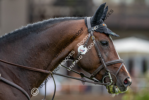 The Al Shira'aa Hickstead Derby Meeting