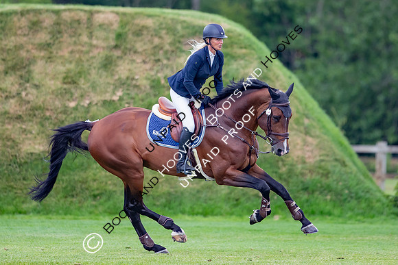 The Al Shira'aa Hickstead Derby Meeting