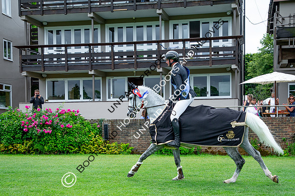 The Al Shira'aa Hickstead Derby Meeting