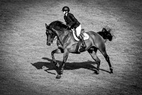 The Al Shira'aa Hickstead Derby Meeting
