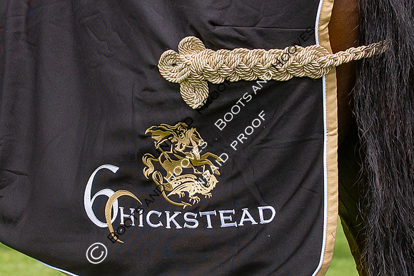 The Al Shira'aa Hickstead Derby Meeting