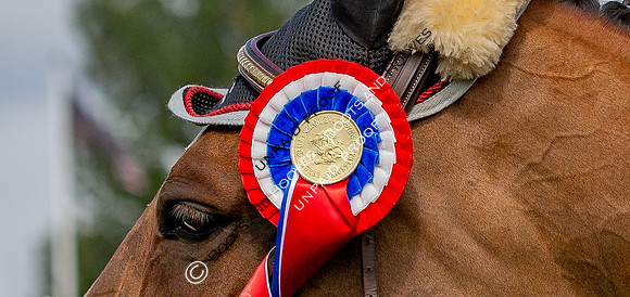 The Al Shira'aa Hickstead Derby Meeting