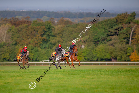 Newmarket