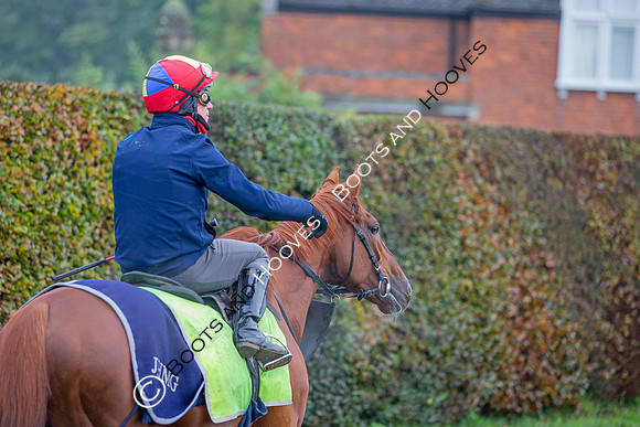 Newmarket