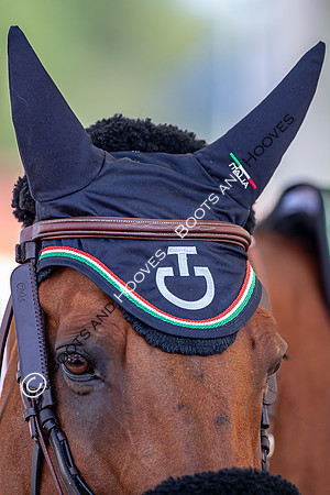The FEI World Championships Herning 2022