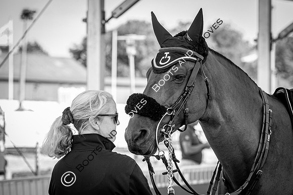 The FEI World Championships Herning 2022