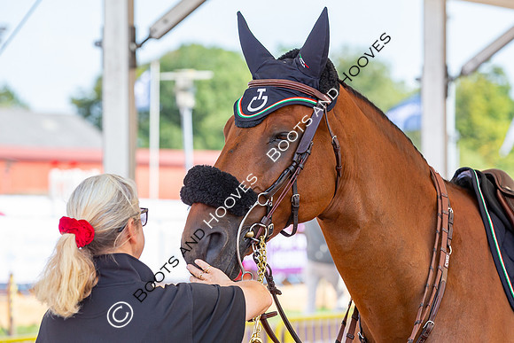 The FEI World Championships Herning 2022