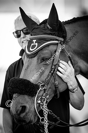 The FEI World Championships Herning 2022