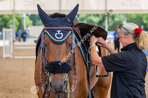 The FEI World Championships Herning 2022
