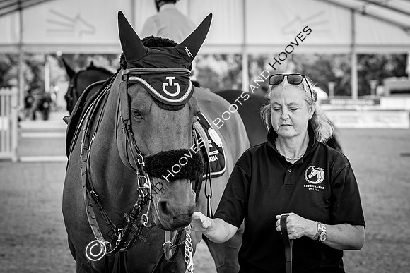 The FEI World Championships Herning 2022