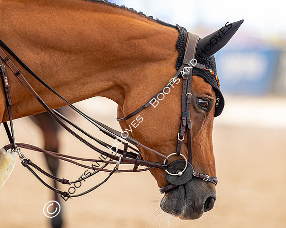 The FEI World Championships Herning 2022