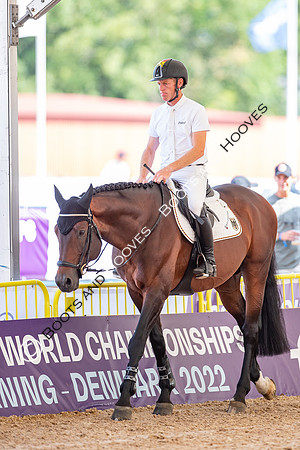 The FEI World Championships Herning 2022