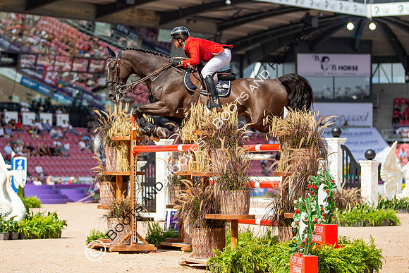 The FEI World Championships Herning 2022