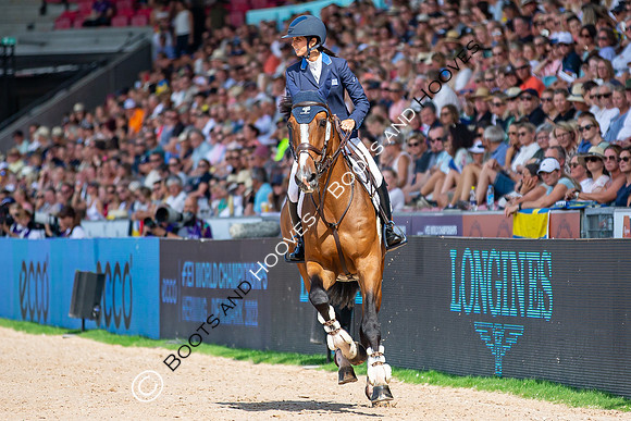 The FEI World Championships Herning 2022
