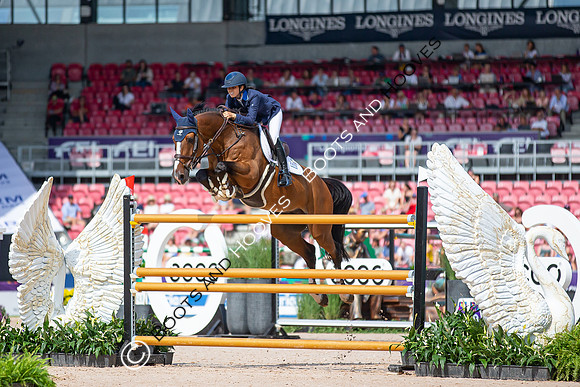 The FEI World Championships Herning 2022