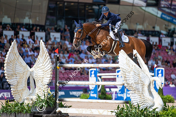 The FEI World Championships Herning 2022