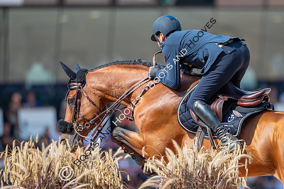 The FEI World Championships Herning 2022