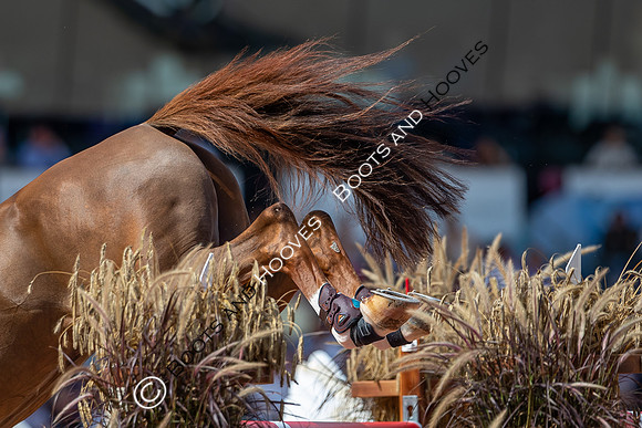 The FEI World Championships Herning 2022