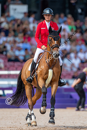 The FEI World Championships Herning 2022