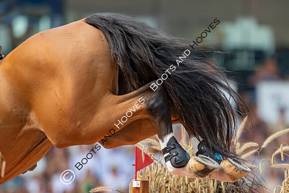 The FEI World Championships Herning 2022