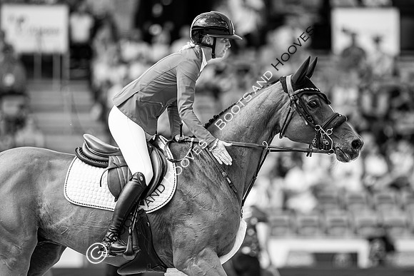 The FEI World Championships Herning 2022