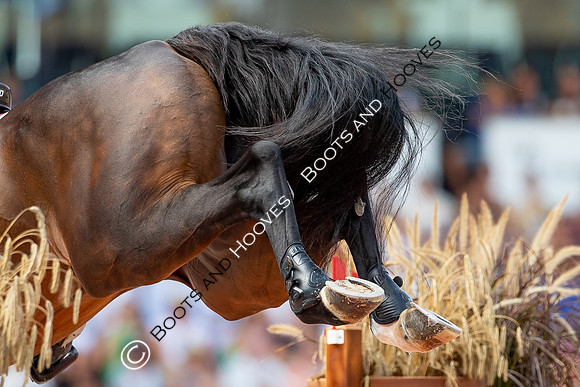 The FEI World Championships Herning 2022
