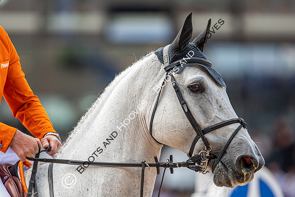 The FEI World Championships Herning 2022