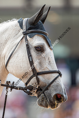 The FEI World Championships Herning 2022