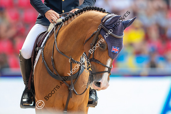 The FEI World Championships Herning 2022
