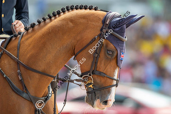 The FEI World Championships Herning 2022