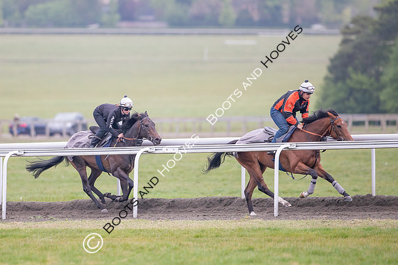 Newmarket Gallops