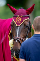 Science Supplements All England Jumping Championships