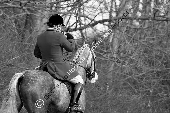 Hunting