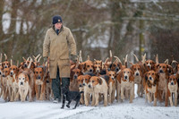 Hound Exercise