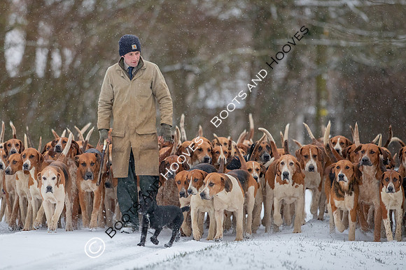 Hound Exercise