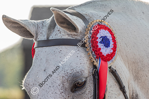 The Prenetics Royal International Horse Show