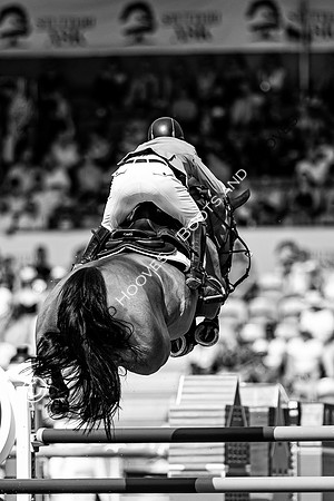 The FEI World Championships Herning 2022