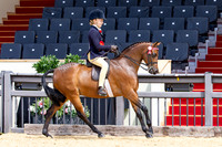 Royal Windsor Horse Show