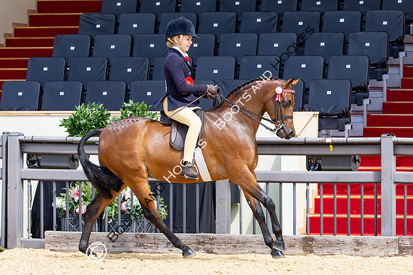 Royal Windsor Horse Show