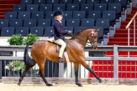 Royal Windsor Horse Show