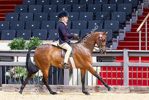 Royal Windsor Horse Show