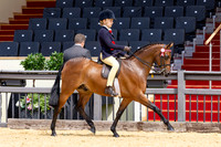 Royal Windsor Horse Show
