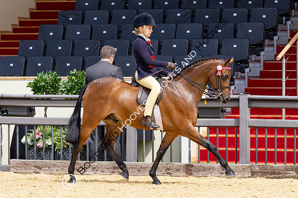Royal Windsor Horse Show