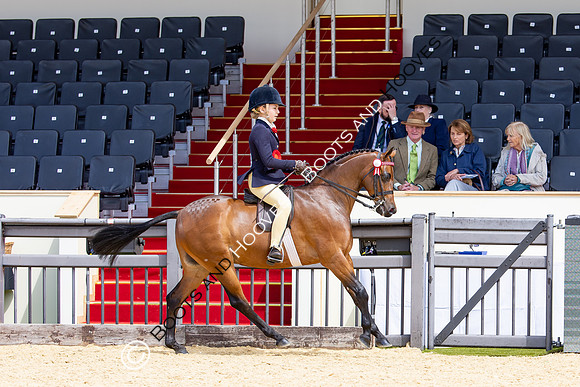 Royal Windsor Horse Show