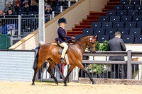 Royal Windsor Horse Show