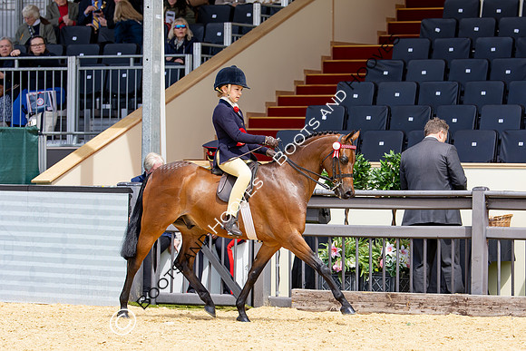 Royal Windsor Horse Show