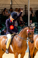 Royal Windsor Horse Show