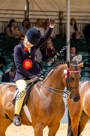 Royal Windsor Horse Show